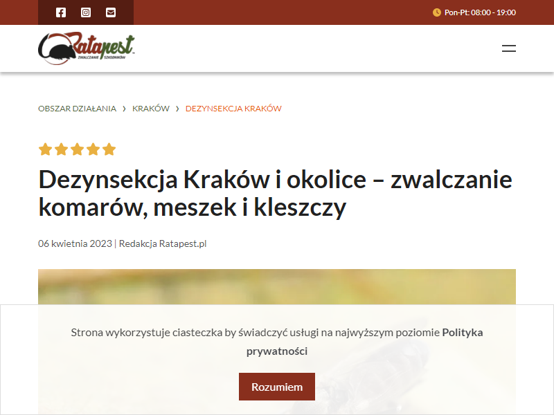 Dezynsekcja Kraków